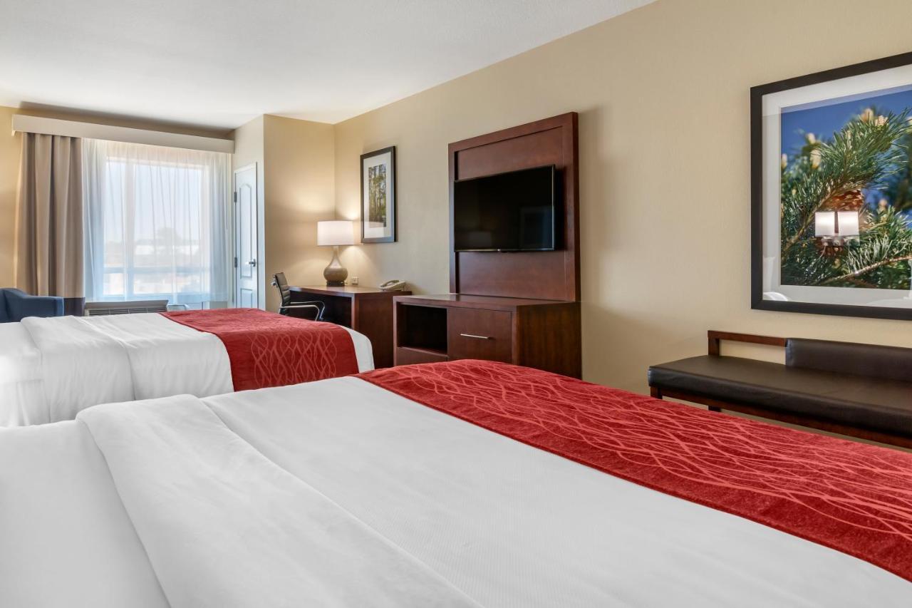 Comfort Inn & Suites Tifton Quarto foto